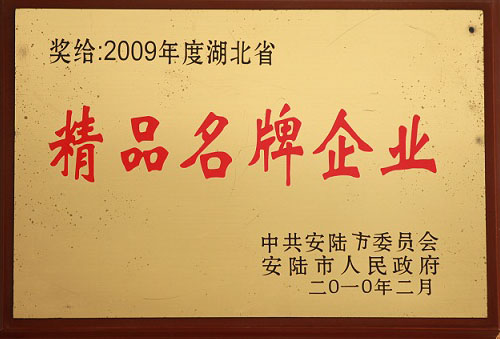 精品名牌企业2009