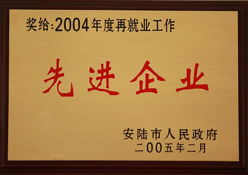 先进企业2004